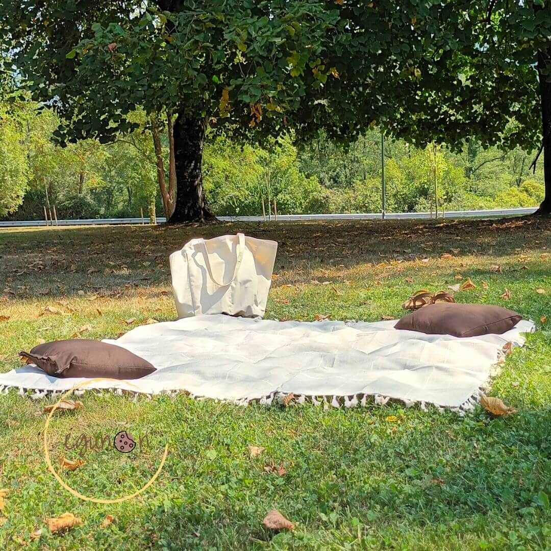 cojines para picnic, a domicilio, meriendas, desayunos, hamaiketakos